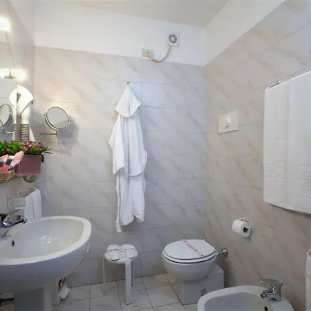 酒店 城市酒店 皮亚琴察