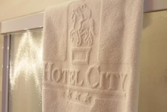Hotel City Hotel 3*