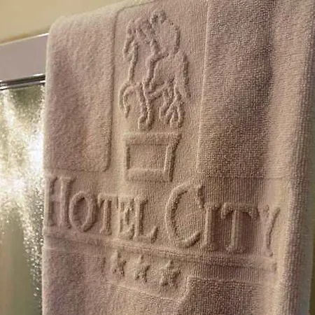 Hotel City Hotel 3*