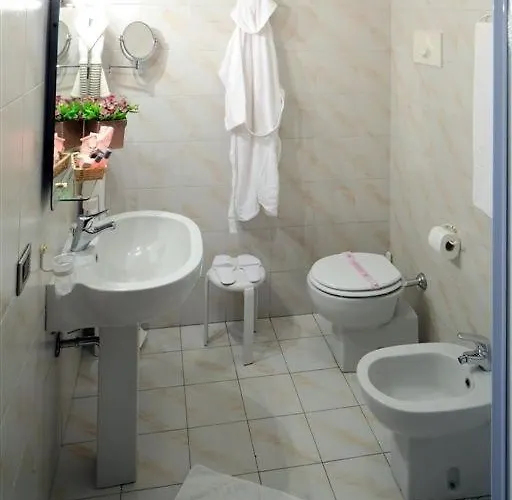 Hotel City Hotel 3*